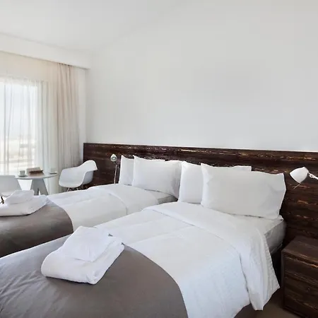 Gold Lagoon Kosher - By Amphora &