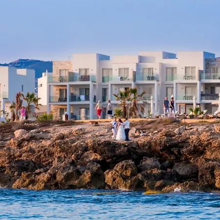 Gold Lagoon Kosher - By Amphora &