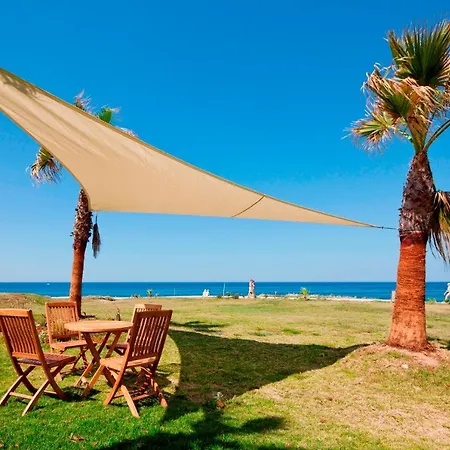 Gold Lagoon Kosher - By Amphora &